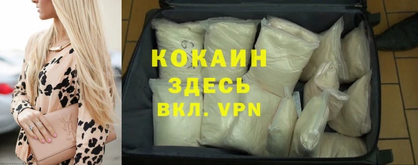 индика Алзамай