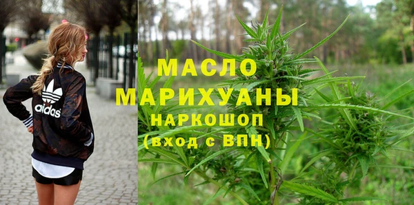 индика Алзамай