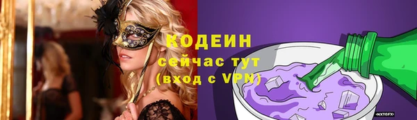СК Сафоново