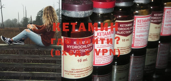 индика Алзамай