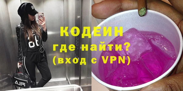 индика Алзамай