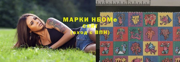 индика Алзамай