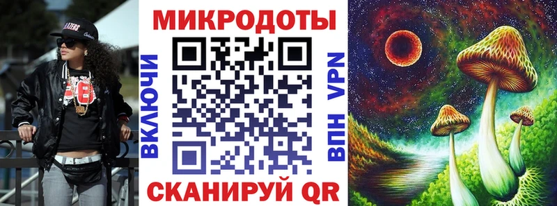 Галлюциногенные грибы Psilocybe  Ардатов 